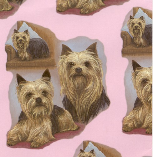 Doggy 6